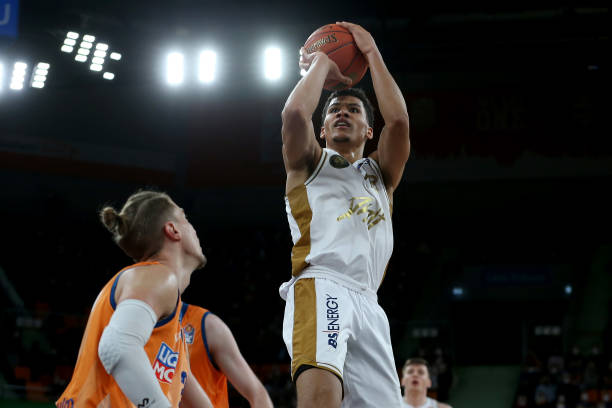 险境中的梅 险境中的梅